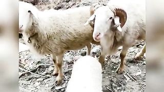 段子而已