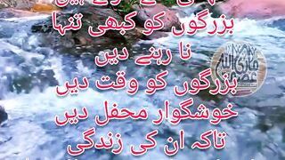 ???? ارشاد نوری ????