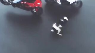 RIDER SAVE DOG