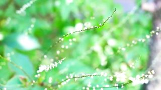 4K Nature Video | 4K Ultra HD Video | Healing Relaxation | Amazing View |#nature #febspot