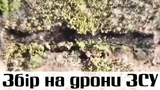 Southern Front Strike | Ukrainian Drone Targets Russian Soldiers | Ukraine Russia War | RCF