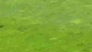 Quando Acontece algo inesperado????