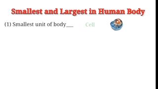 Human Body General knowledge Mcqs for all test