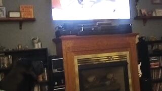 Funny | "Dane vs. Duck: Hilarious TV Standoff" | FunFM