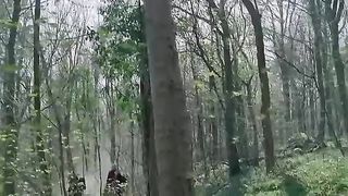 Merlin 7