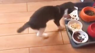 Haha so funny isn't itVia -