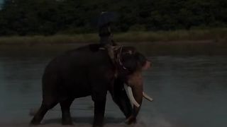 Happy world tourism day 2023❤️ #beautifulnature #wildlife #trourism #Nepal