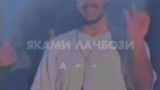 ???????? 181