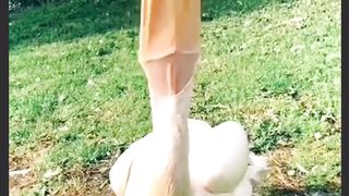 Quran e Pak ki Tilawat with Beautiful Birds