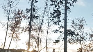 Sunset view 3