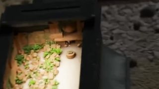 Progressing through harder traps
