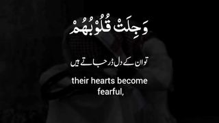 قرآن کی تلاوت اور ترجمہ مومن کون ہیں؟
