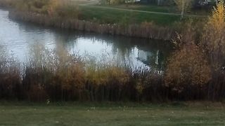 Walk in nature 2