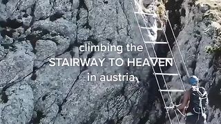 You have to see this.