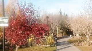 Canada beauty 36