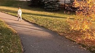 Walk in nature 3