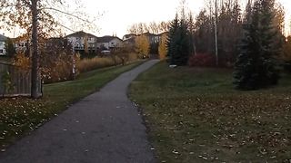 Walk in autumn