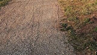 Walk in autumn 2