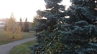 Sunset view 4