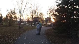 Sunset autumn walk