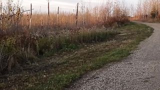 Walk in forest