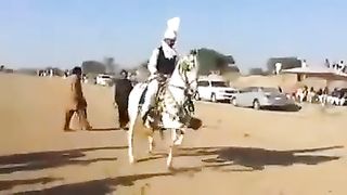 Beautiful Horse Dance