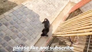 Part6 scar bideo viral