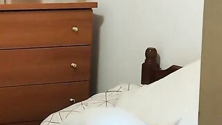 Animal funny????????????