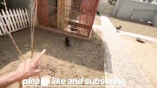 Part7 scar video viral@##