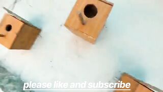 Last part8 scar video viral@@*#+