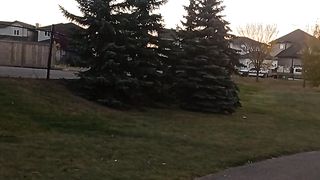Sunset view 6