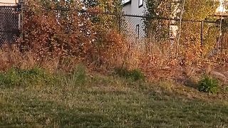 Beauty of nature 36