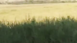 Ukraine Russia War | Ukrainian Mi-24P-V Attack Helicopters Strike Russian Positions | Octobe | RCF