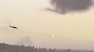 Video 293