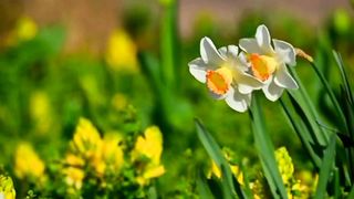 The Breathtaking Beauty of Nature | HD Video | Keep Mind Cool Nature | Beautiful Nature Video