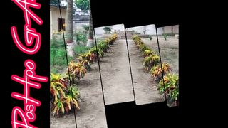 পুষ্প গ্রাম