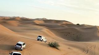 Desert love