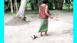 Animal Shorts #34
