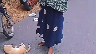 Animal Shorts #38