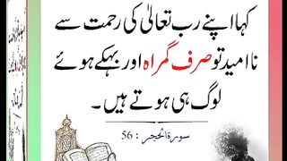 اسلامی معلومات 341