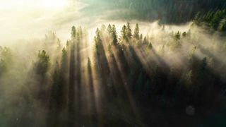 Starting The Day Right!- Mindshift