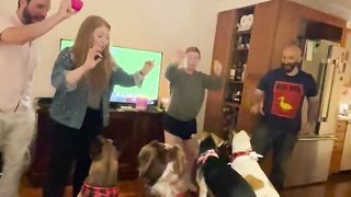Funny | The Great Treat Heist Chronicles | FunFM