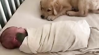 Puppy sleeps with baby