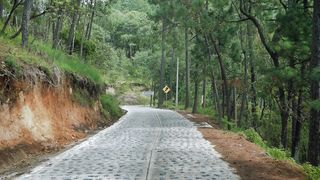 Walking Path