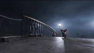 THE QUEEN'S CORGI Clips - "Goodbye Top Dog" (2019)