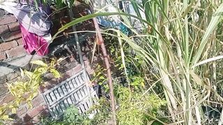 گملوں میں پودے لگا کر غلطی نہ کرے گا دوسرا حصہ