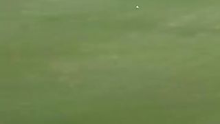 What A Catch????????