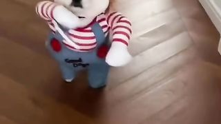 Very funny 66