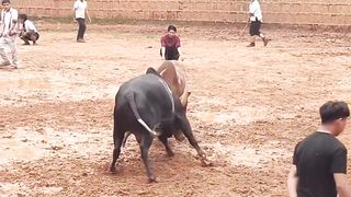 Moqabla