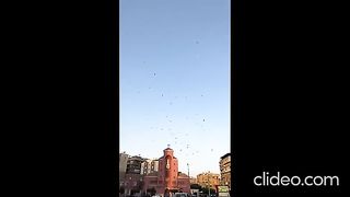 ОТ МЯСТОТО ОТ СЪБИТИЕТО